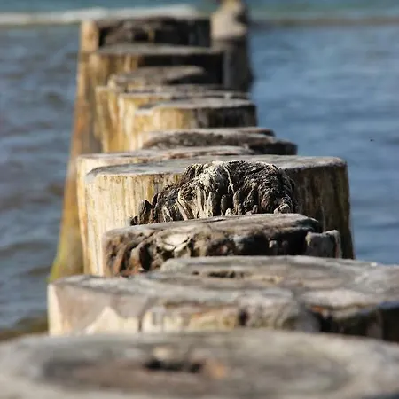 Appartement Baumann Prerow