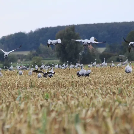 Appartement Baumann *